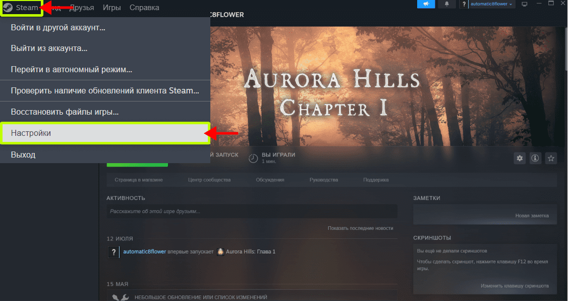 Настройки в Steam